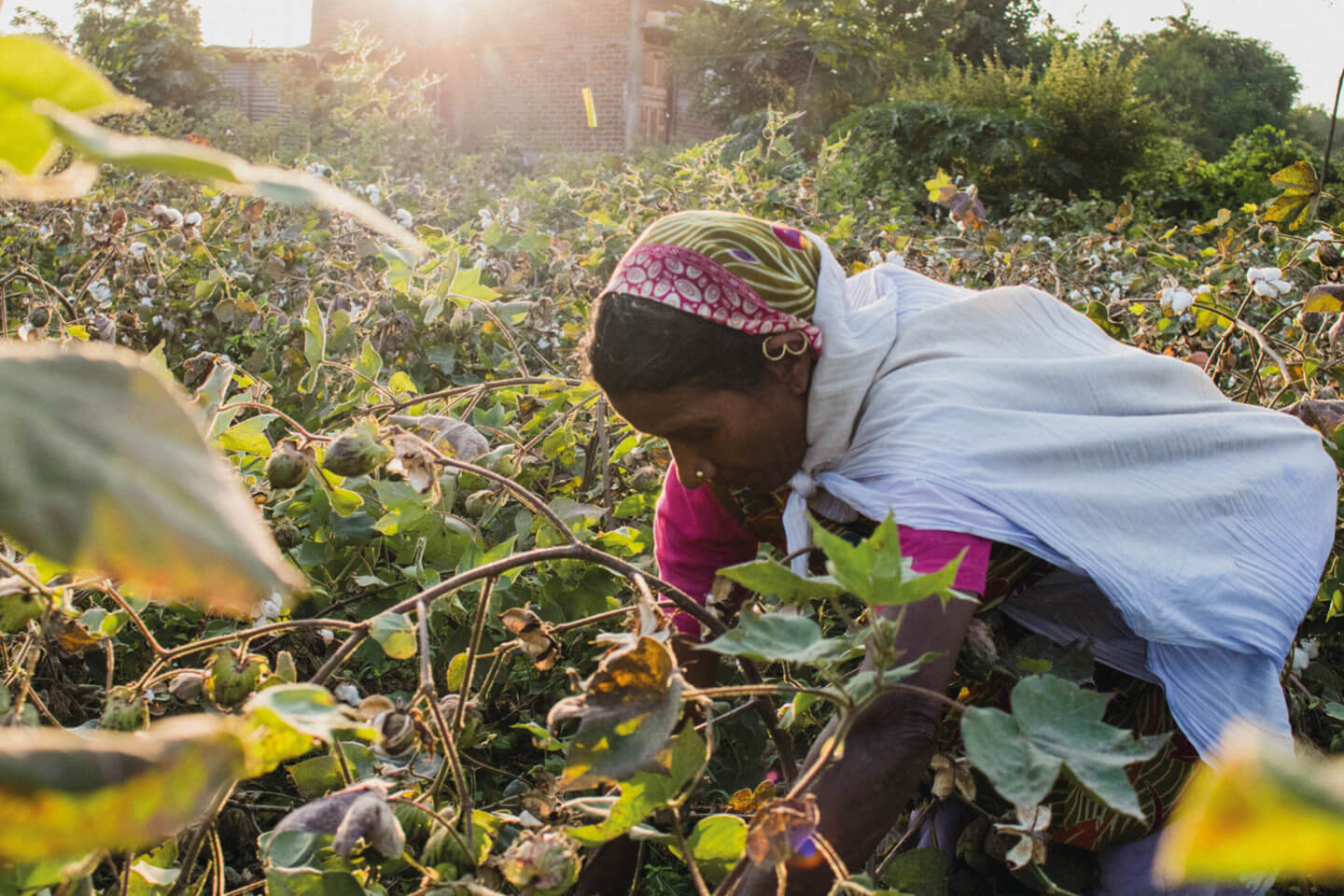MELAWEAR-Nachhaltigkeit-Fairtrade-Cotton-Standard